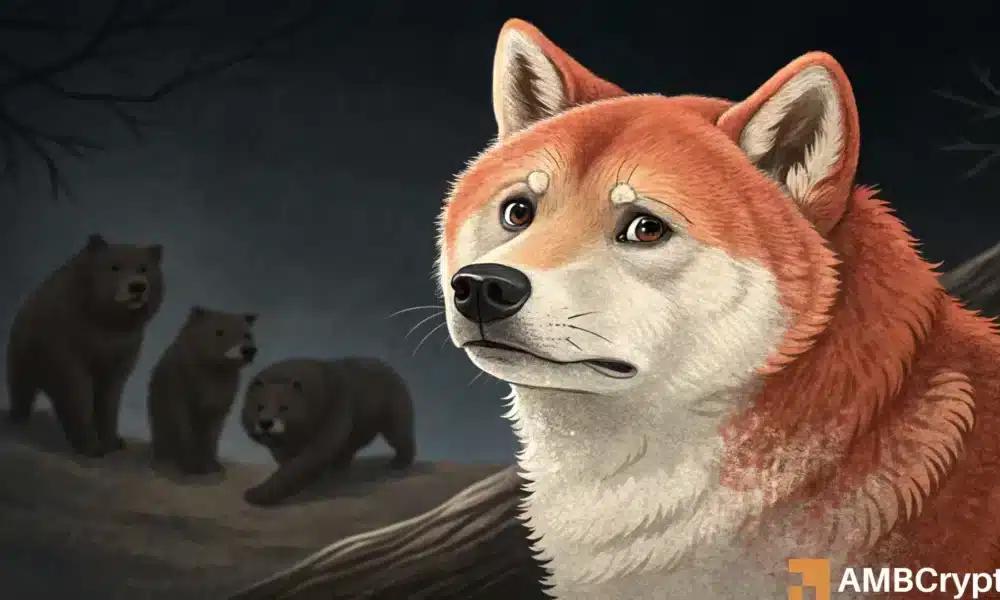 柴犬价格预测——这对交易者来说都是一个高风险的购买机会！