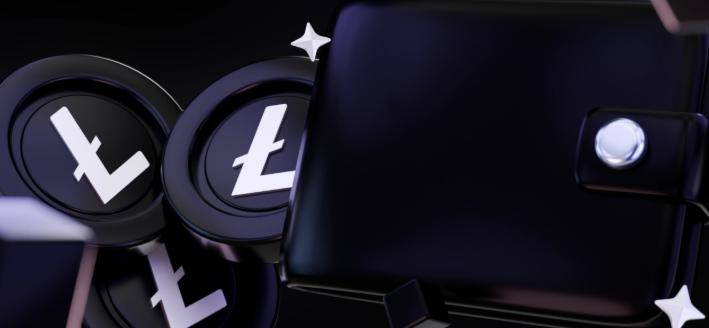 莱特币钱包如何保障安全？LTC私钥保护方法？