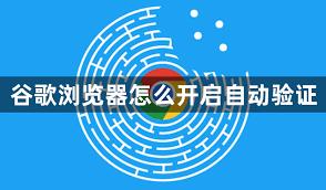 谷歌浏览器如何开启网站自动验证