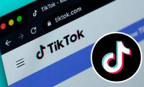 tiktok官方网站入口地址是什么
