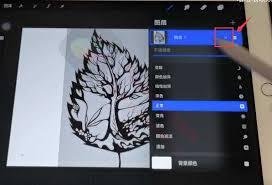 procreate如何调整局部透明度