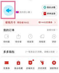 拼多多发票申请在哪