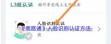 鹿路通如何查重名
