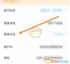 代练丸子如何查看实名认证
