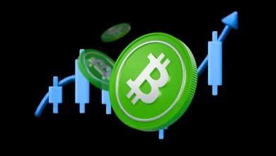 比特币现金（BCH）价格突破 17 个月高点：719 美元是下一个目标吗？