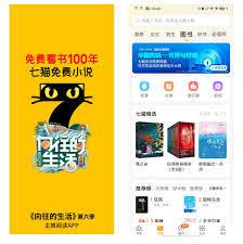 七猫小说自动安装软件如何解决