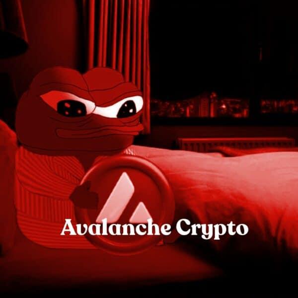 Avalanche Crypto 会成为下一个加密货币宝库宠儿吗