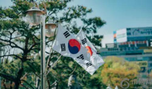 新数据揭示：韩国加密货币市场由少数巨鲸主导