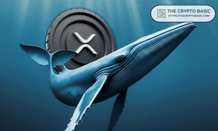 XRP 巨鲸每天抛售高达 50,000,000 美元的 XRP