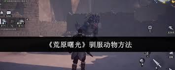 荒原曙光如何驯服动物