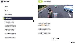 宝可梦传说ZA宝可梦怎么培养