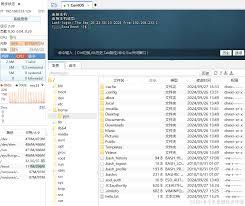 FinalShell如何设置下载路径