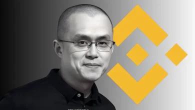 伊丽莎白·沃伦为自己对齐柏林飞艇认罪一事的评论辩护，称其基于事实。