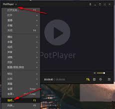 PotPlayer如何在屏幕上显示消息