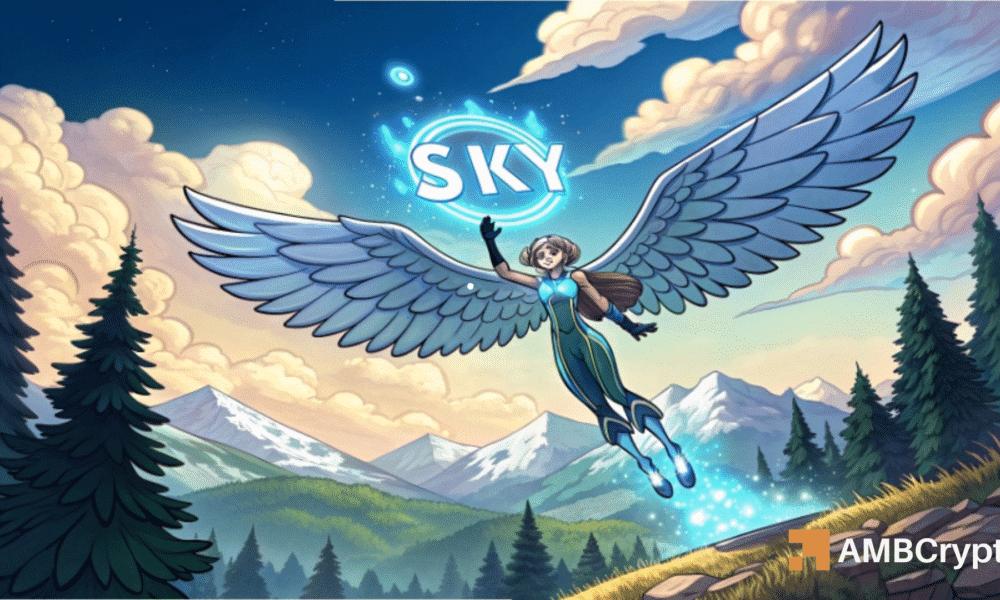 SKY加密货币10%的涨势为何在6500万美元回购浪潮中面临考验