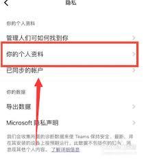 Microsoft Teams怎么显示个人资料