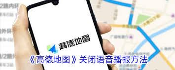 如何关闭高德地图导航语音