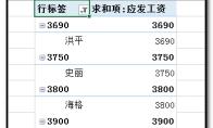excel数据透视表怎么筛选数值