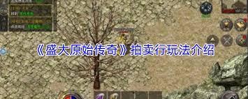 原始传奇拍卖行怎么玩