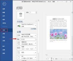 Word文档怎样设置打印无损图像