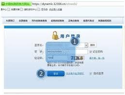 12306如何抢到票