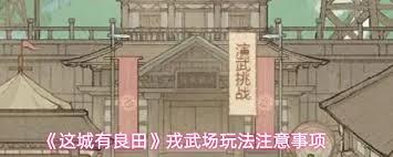 这城有良田戎武场怎么玩
