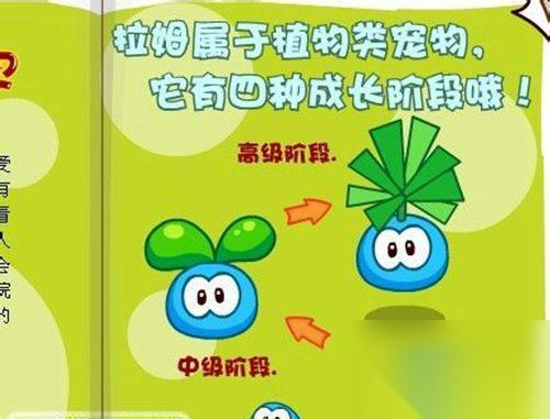 摩尔庄园手游 游戏产奶桶使用介绍 怎么有效利用 摩尔庄园手游 中的产奶桶来提高游戏体验