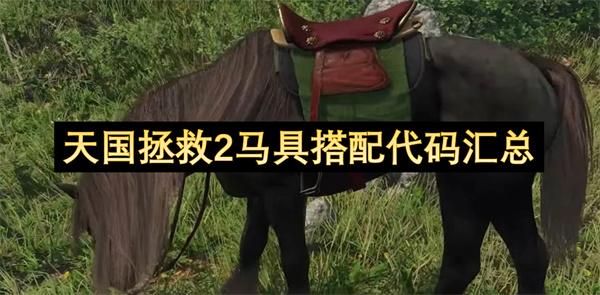 天国拯救2马具搭配代码汇总