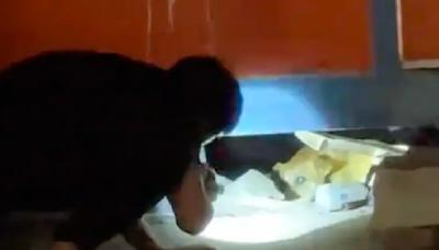 笼子血肉矿区更新了什么