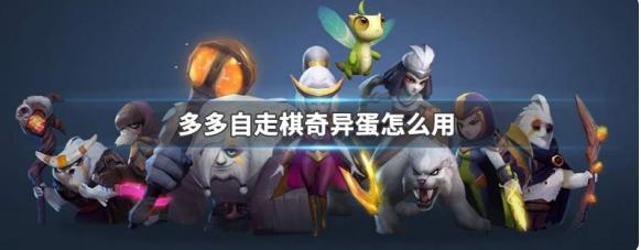 多多自走棋奇异蛋怎么用 多多自走棋奇异蛋使用方法