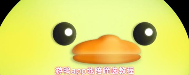 游鸭app地陪筛选教程