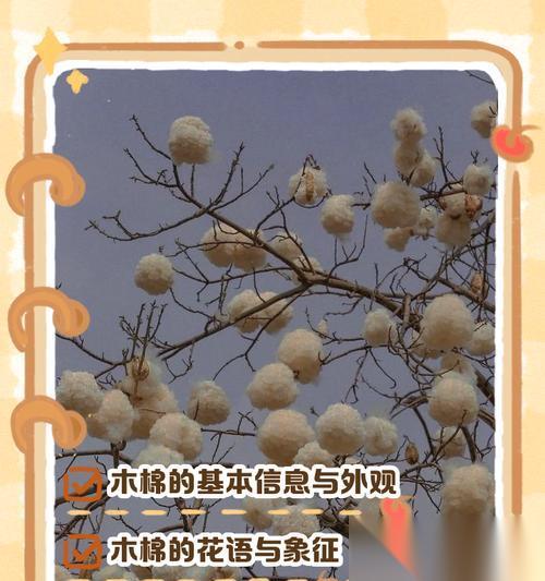 探索棉花树精灵的奇妙世界 种类丰富、优缺点各异